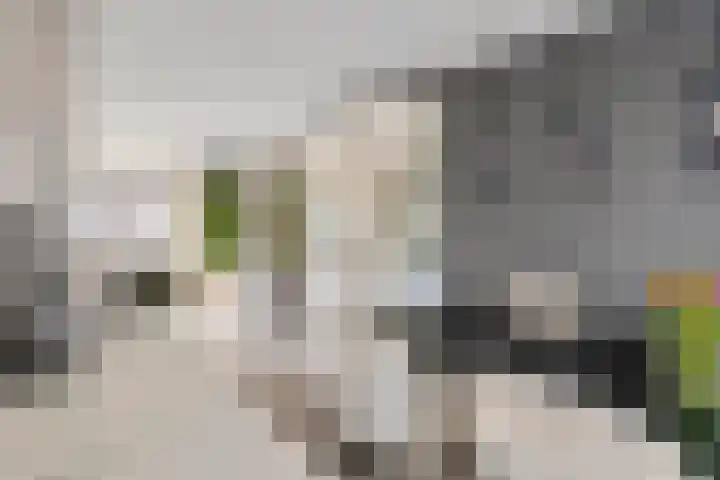 M. Noordzijstraat 6 Tiel thumbnail 12