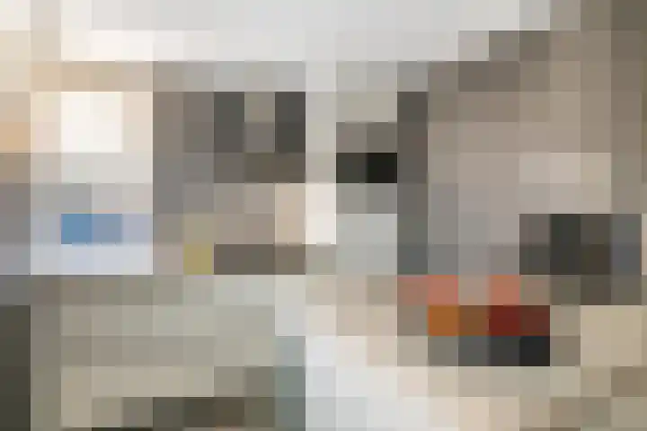 M. Noordzijstraat 6 Tiel thumbnail 13