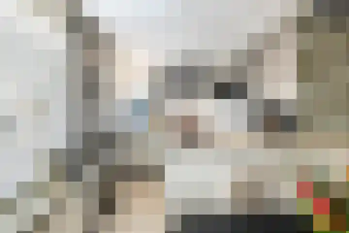 M. Noordzijstraat 6 Tiel thumbnail 15