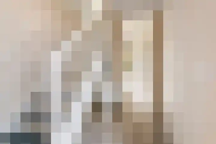 M. Noordzijstraat 6 Tiel thumbnail 22