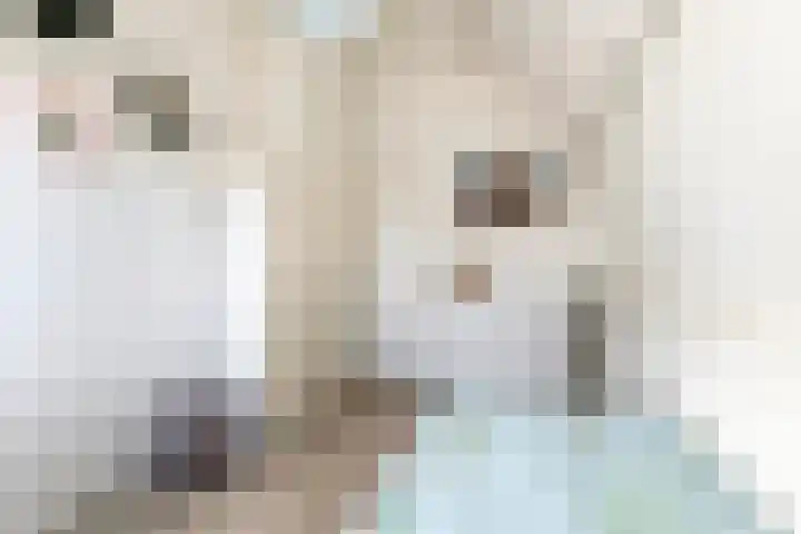 M. Noordzijstraat 6 Tiel thumbnail 27