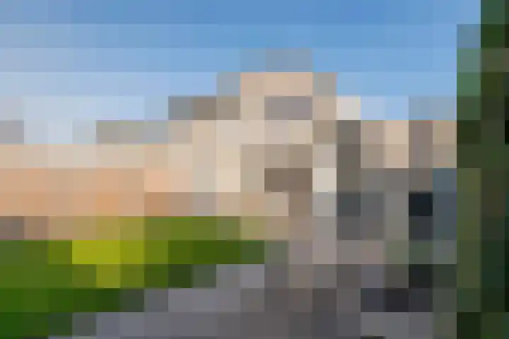 M. Noordzijstraat 6 Tiel thumbnail 33