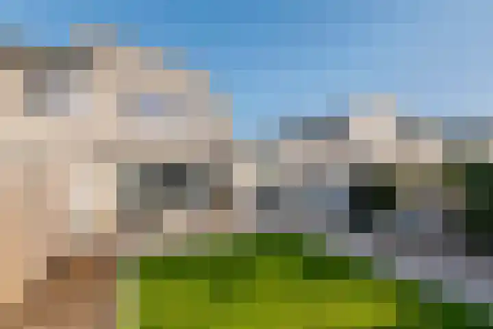 M. Noordzijstraat 6 Tiel thumbnail 34