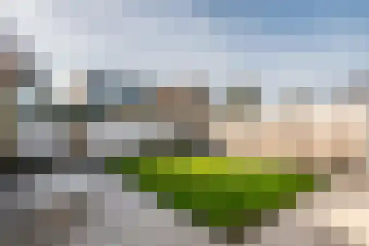 M. Noordzijstraat 6 Tiel thumbnail 35