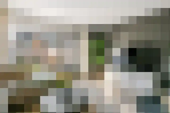 M. Noordzijstraat 6 Tiel thumbnail 4