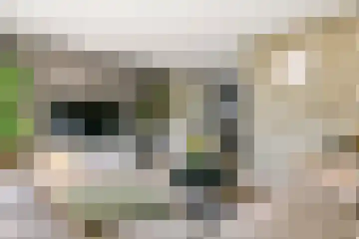 M. Noordzijstraat 6 Tiel thumbnail 5