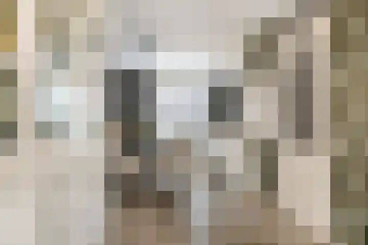 M. Noordzijstraat 6 Tiel thumbnail 9