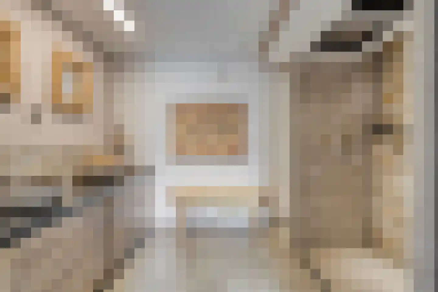 M. Siegenbeekstraat 4 Raamsdonksveer thumbnail 10