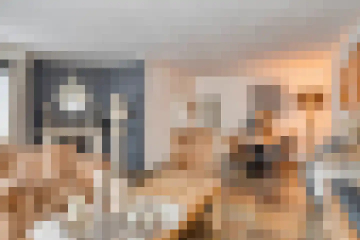 M. Siegenbeekstraat 4 Raamsdonksveer thumbnail 12
