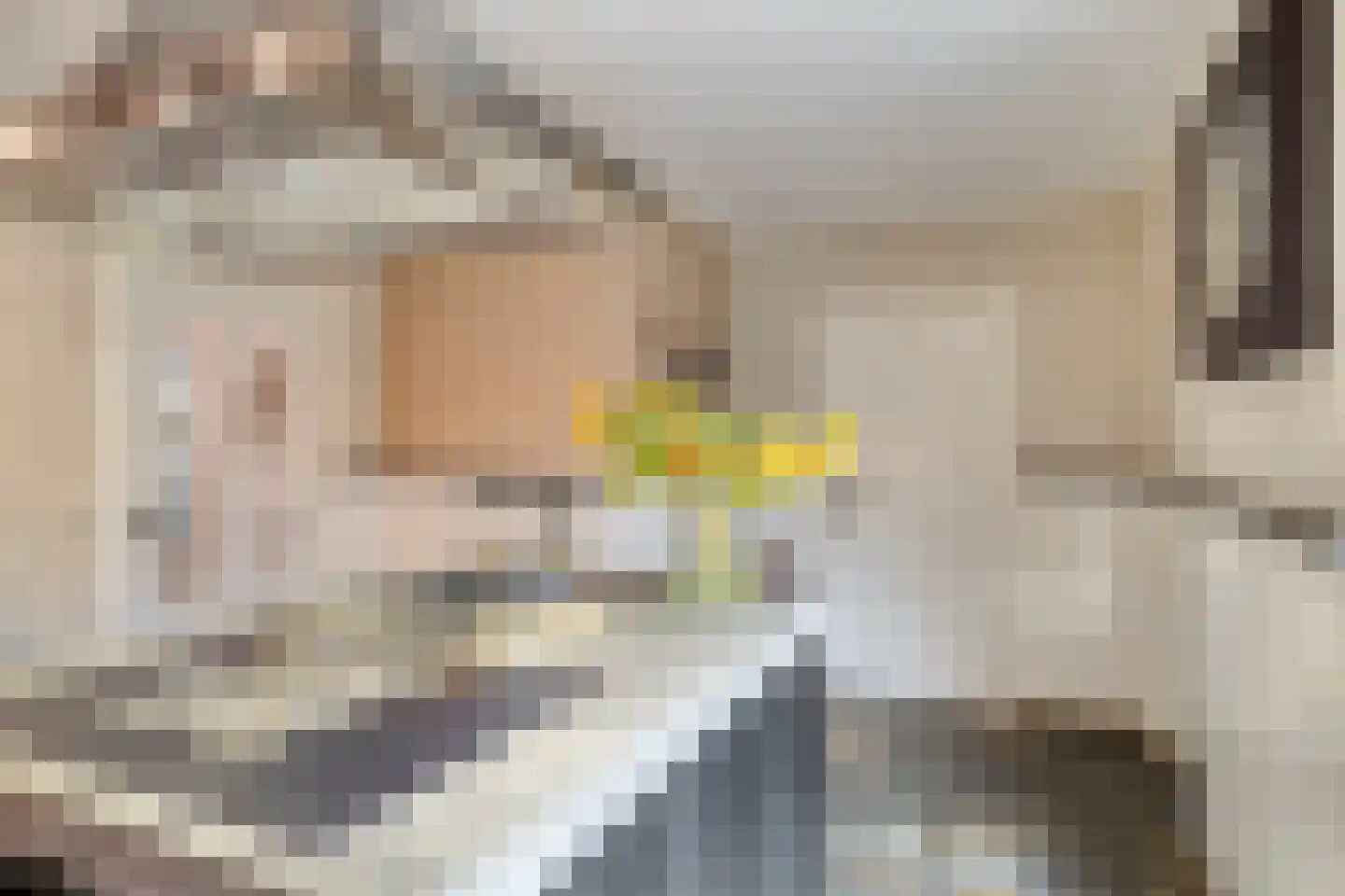 M. Siegenbeekstraat 4 Raamsdonksveer thumbnail 16