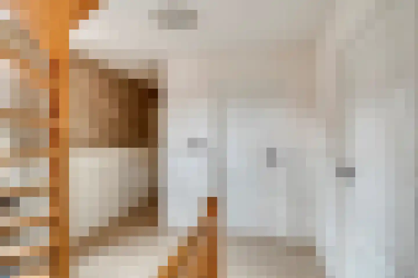 M. Siegenbeekstraat 4 Raamsdonksveer thumbnail 24