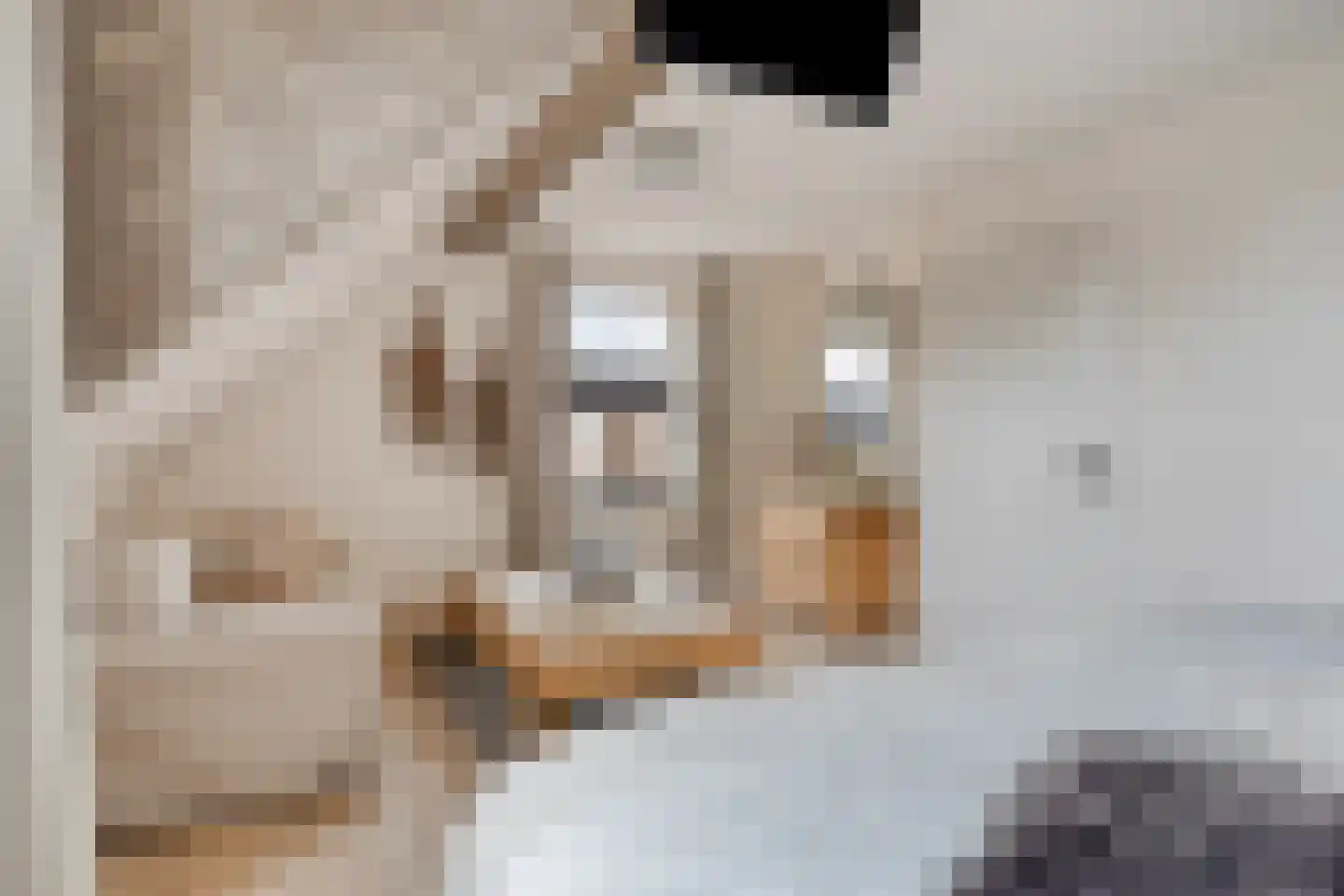 M. Siegenbeekstraat 4 Raamsdonksveer thumbnail 27