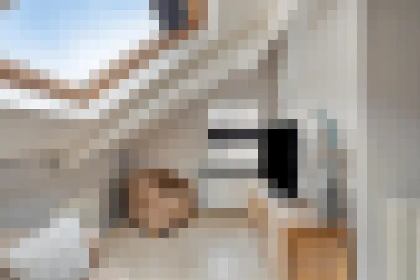 M. Siegenbeekstraat 4 Raamsdonksveer thumbnail 37