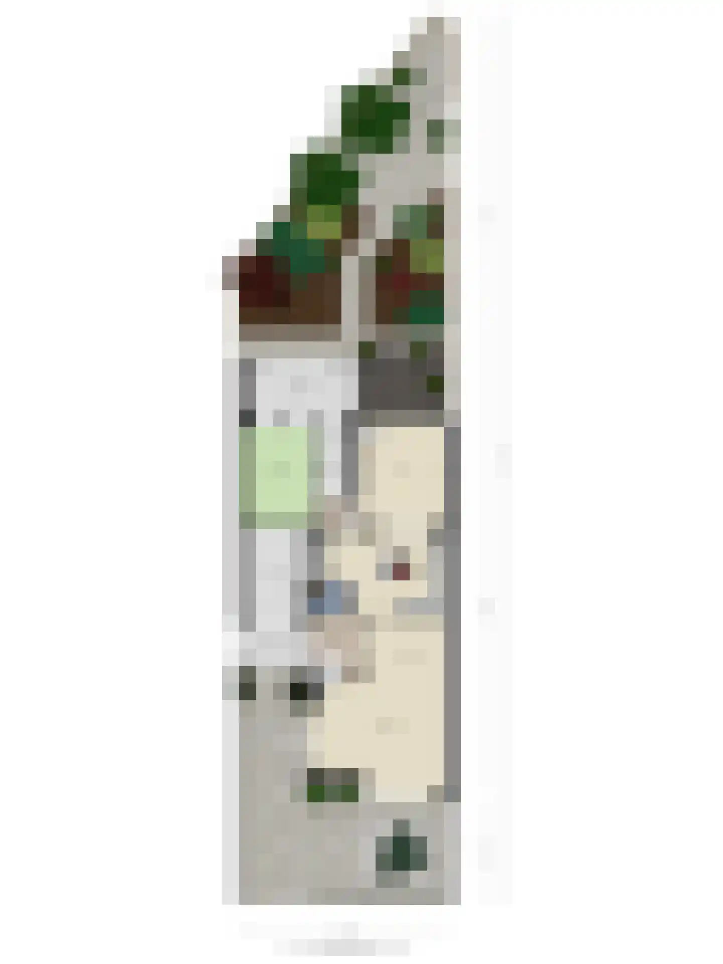 M. Siegenbeekstraat 4 Raamsdonksveer thumbnail 48