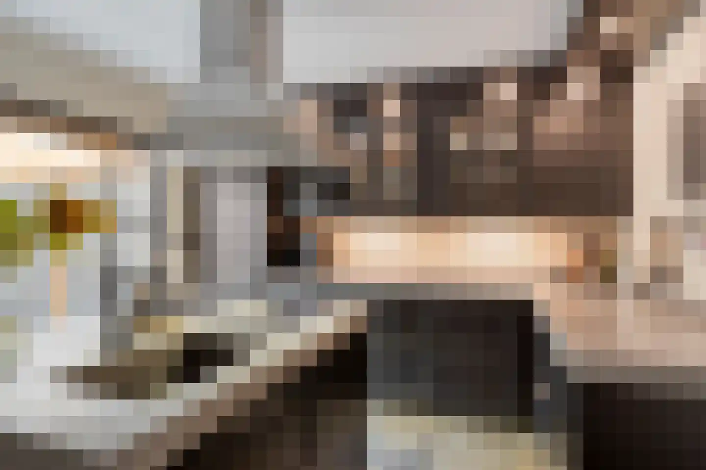 M. Siegenbeekstraat 4 Raamsdonksveer thumbnail 8