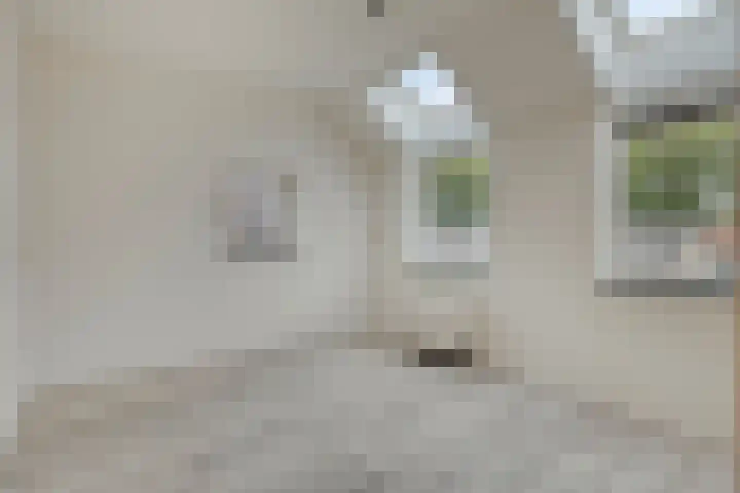 M. Smallegangehof 19 Middelburg thumbnail 12