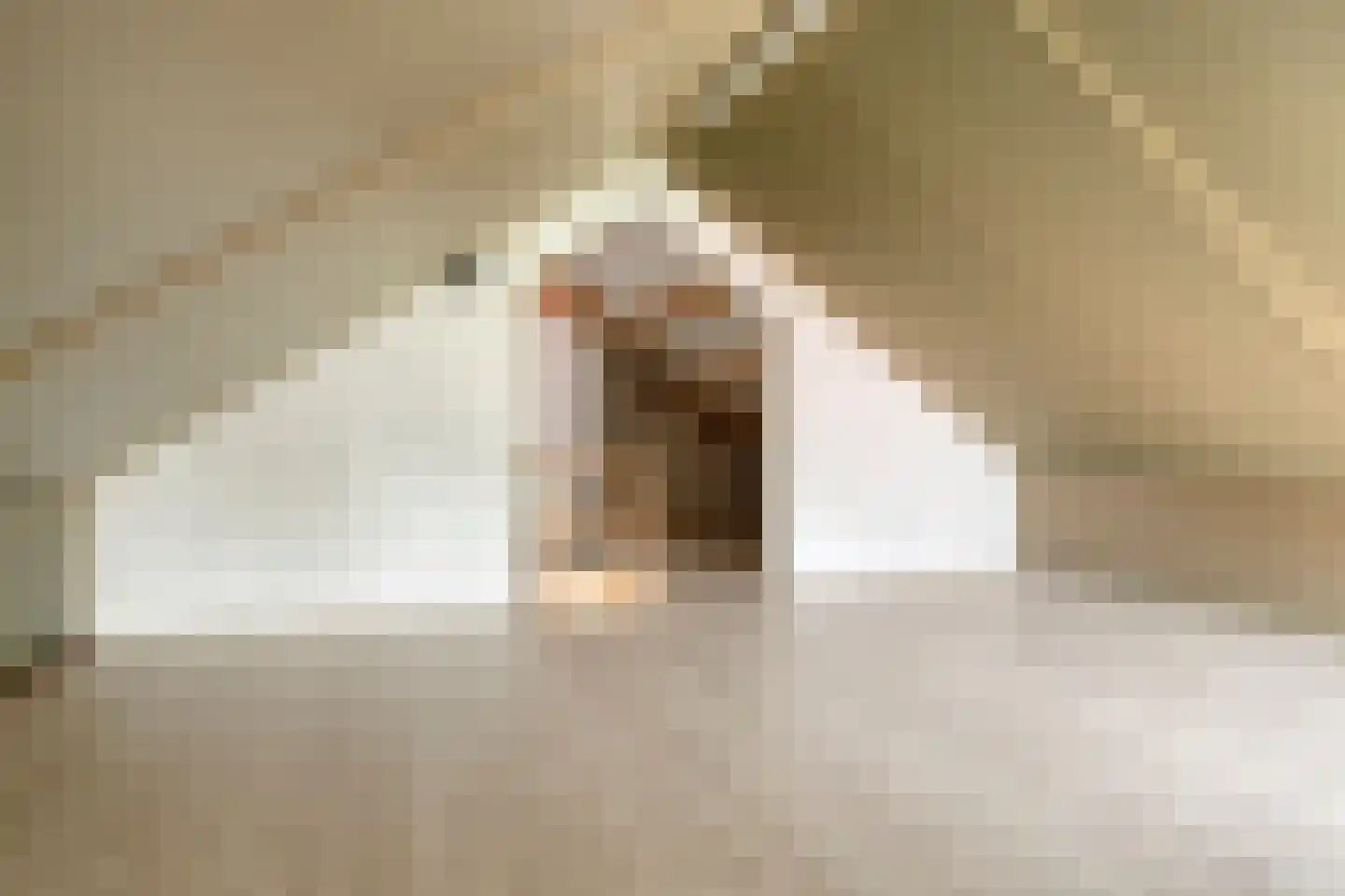 M. Smallegangehof 19 Middelburg thumbnail 18