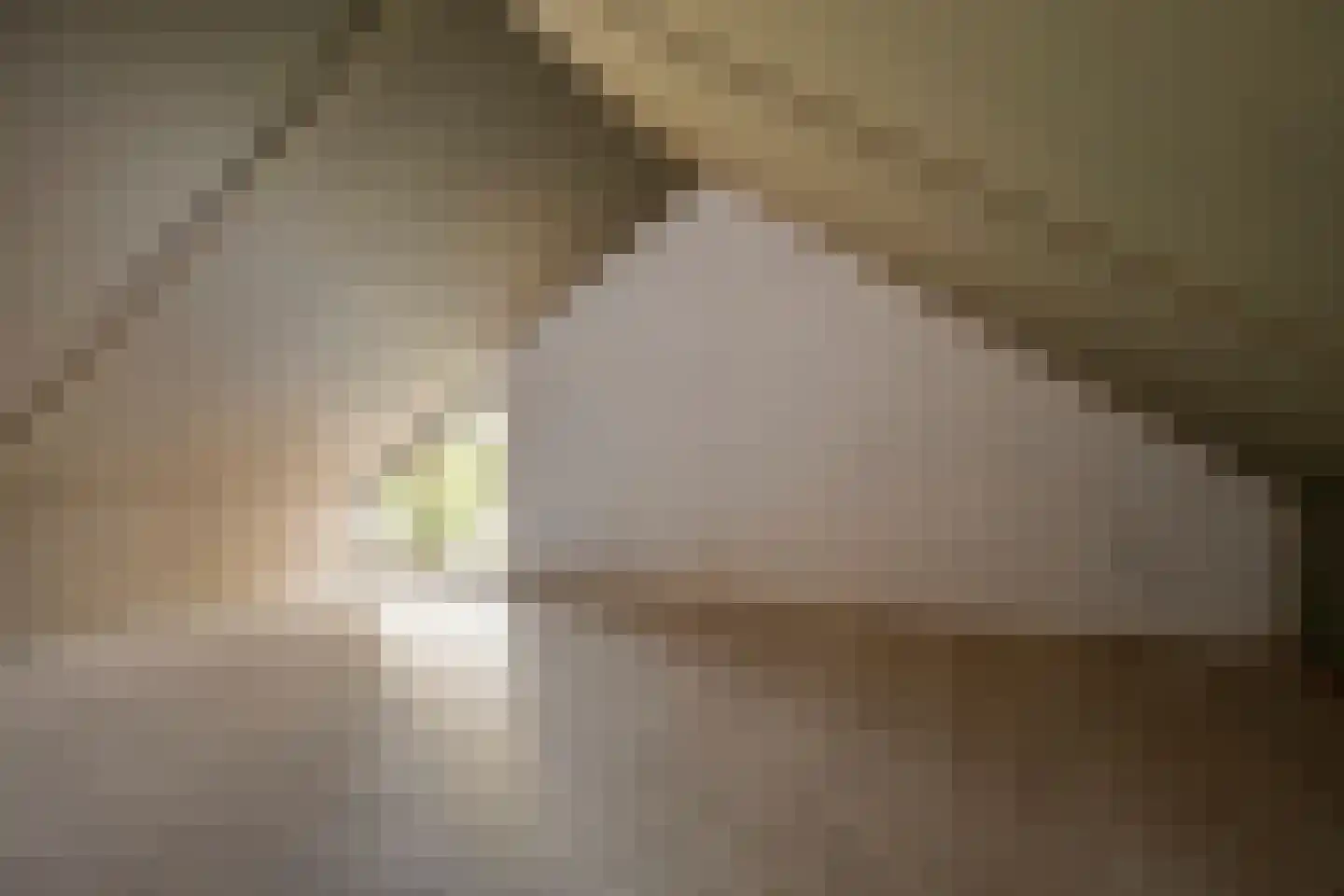 M. Smallegangehof 19 Middelburg thumbnail 19