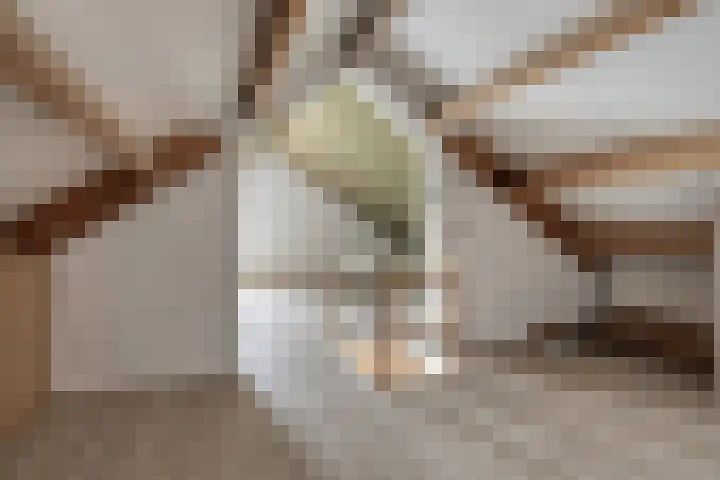 M. Smallegangehof 19 Middelburg thumbnail 21