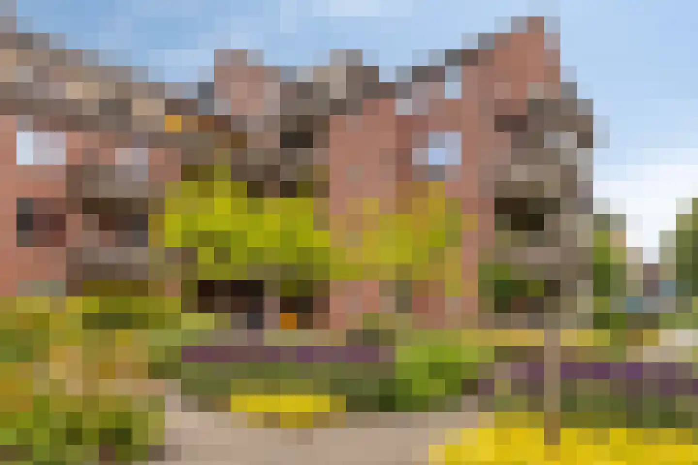 M. Smallegangehof 19 Middelburg thumbnail 24