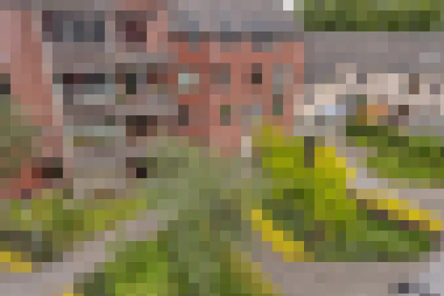 M. Smallegangehof 19 Middelburg thumbnail 25