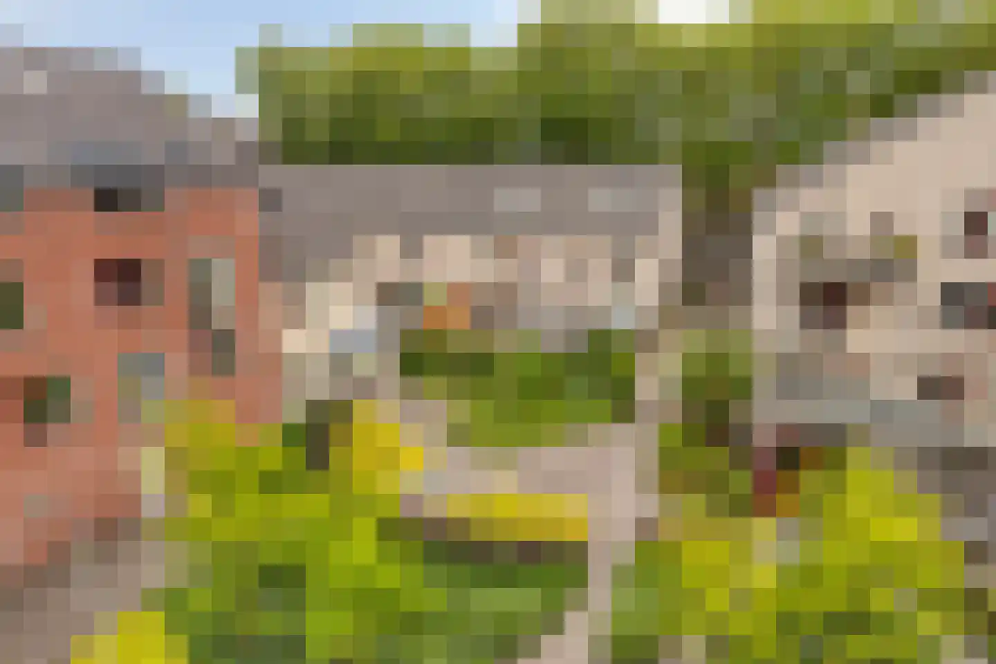 M. Smallegangehof 19 Middelburg thumbnail 26