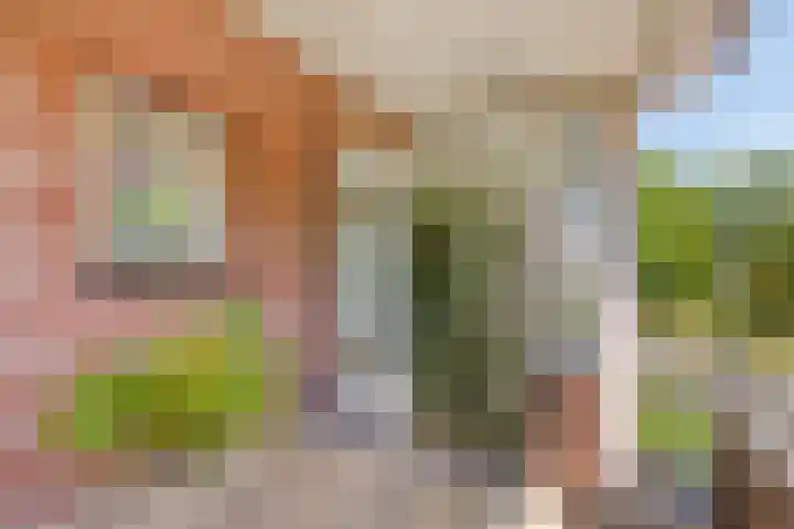 M. Smallegangehof 7 Middelburg thumbnail 12