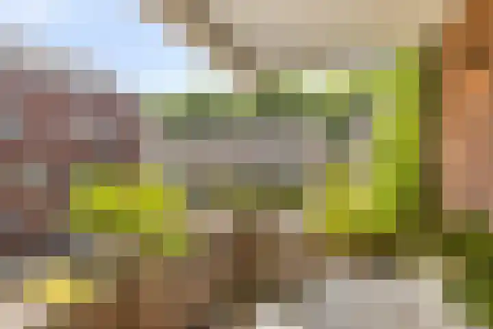 M. Smallegangehof 7 Middelburg thumbnail 13