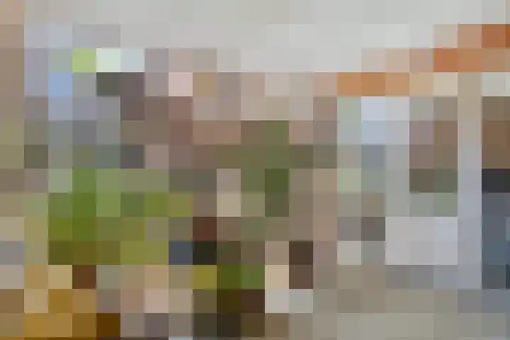M. Smallegangehof 7 Middelburg thumbnail 23