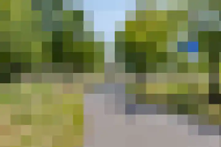 M. Smallegangehof 7 Middelburg thumbnail 26