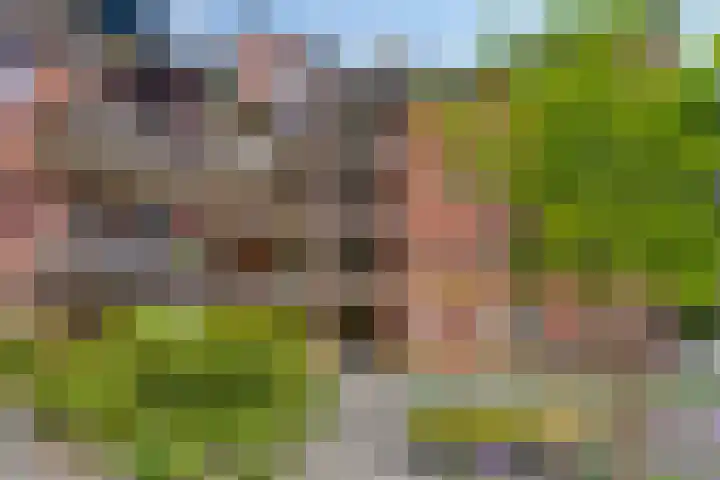 M. Smallegangehof 7 Middelburg thumbnail 27