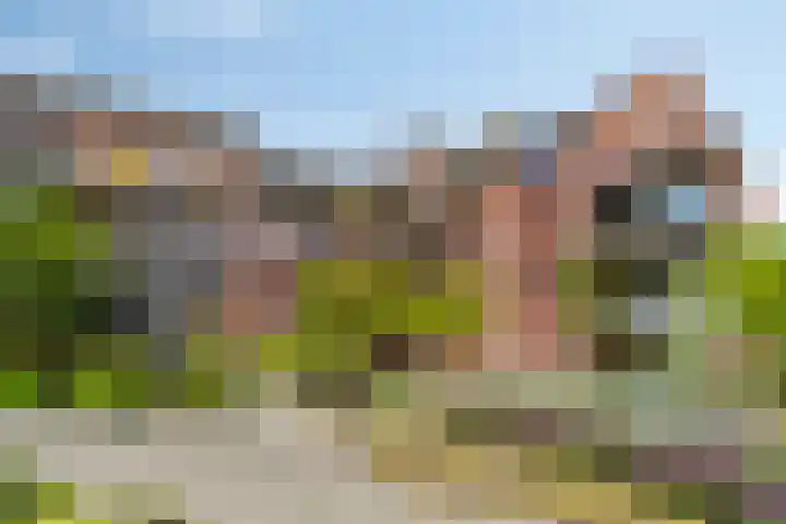 M. Smallegangehof 7 Middelburg thumbnail 28