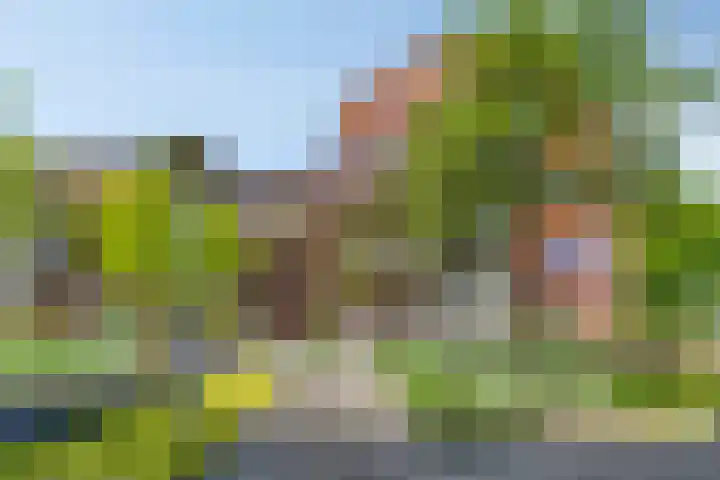 M. Smallegangehof 7 Middelburg thumbnail 29