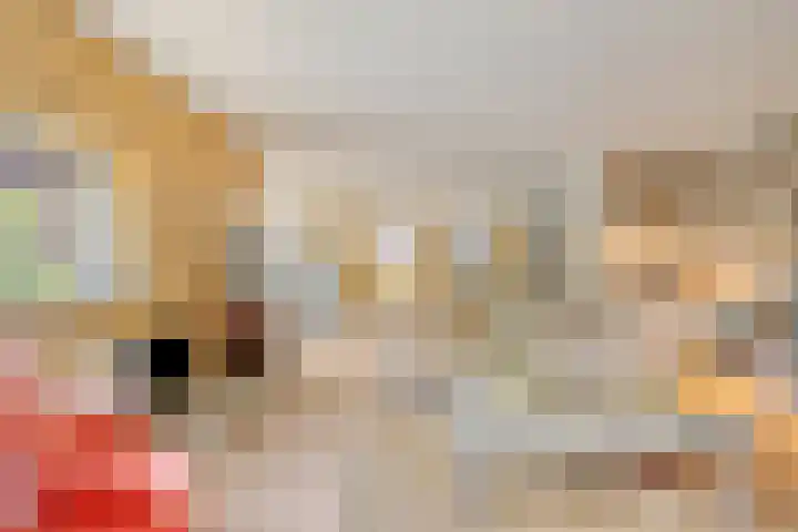 M. Smallegangehof 7 Middelburg thumbnail 5