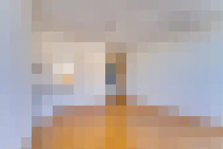 M. van Meelstraat 19 Utrecht thumbnail 7
