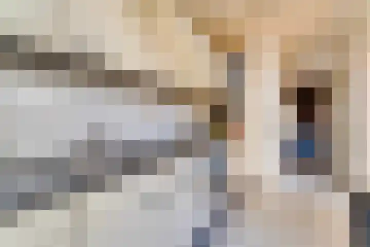 M. van Meelstraat 19 Utrecht thumbnail 9