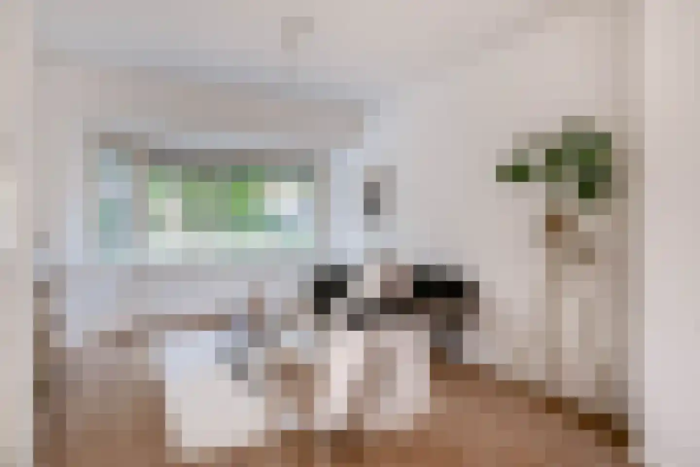M. van Meelstraat 53 Utrecht thumbnail 5