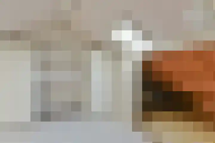 M. van Zantenstraat 8 Nieuwer Ter Aa thumbnail 15