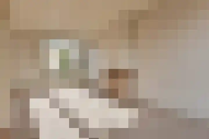 M. van Zantenstraat 8 Nieuwer Ter Aa thumbnail 5