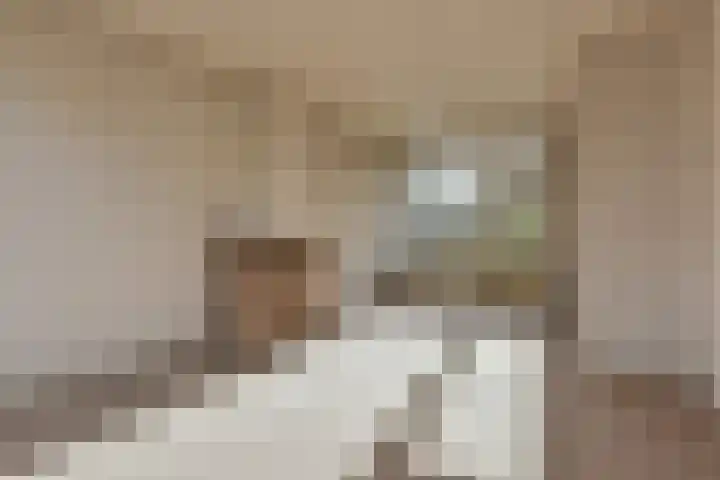 M. van Zantenstraat 8 Nieuwer Ter Aa thumbnail 7