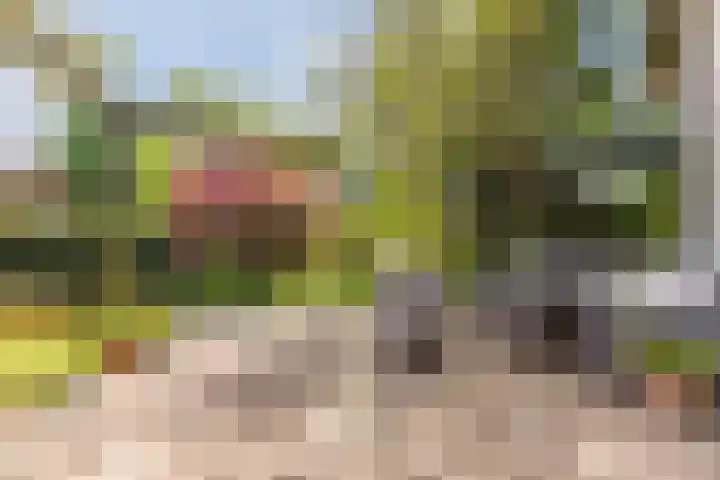 M. van Zantenstraat 8 Nieuwer Ter Aa thumbnail 9