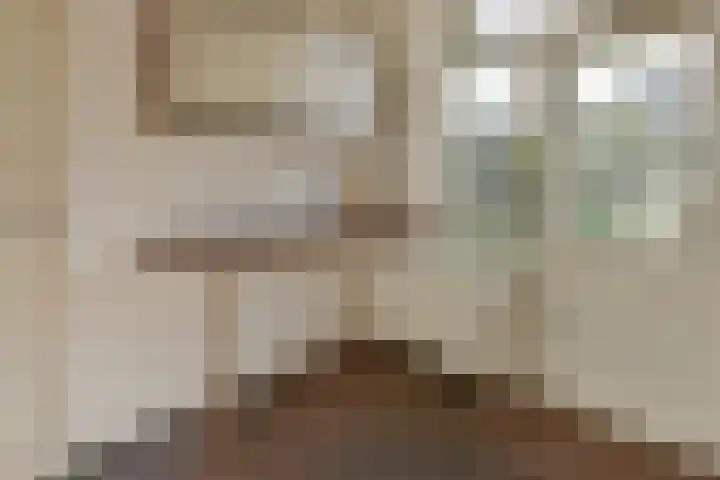 M. van Zantenstraat 8 Nieuwer Ter Aa thumbnail 9