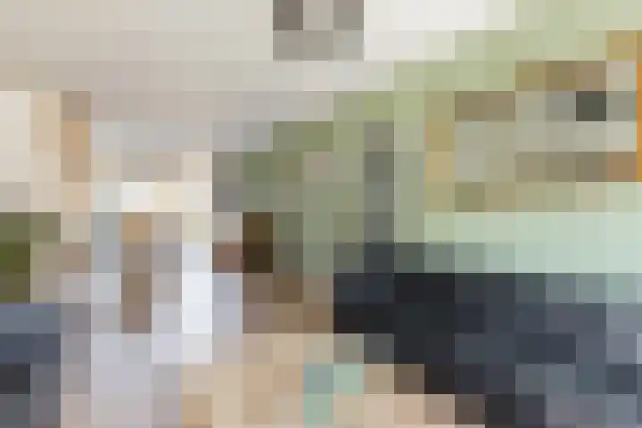 M. van Zantenstraat 9 Nieuwer Ter Aa thumbnail 10