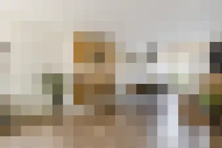 M. van Zantenstraat 9 Nieuwer Ter Aa thumbnail 11