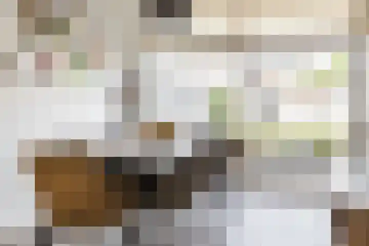M. van Zantenstraat 9 Nieuwer Ter Aa thumbnail 12