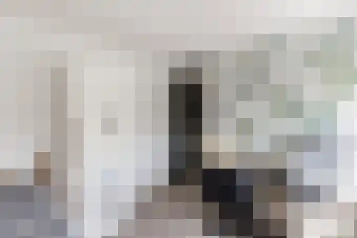 M. van Zantenstraat 9 Nieuwer Ter Aa thumbnail 20