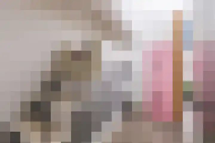 M. van Zantenstraat 9 Nieuwer Ter Aa thumbnail 24