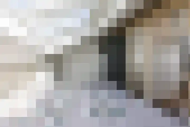 M. van Zantenstraat 9 Nieuwer Ter Aa thumbnail 33