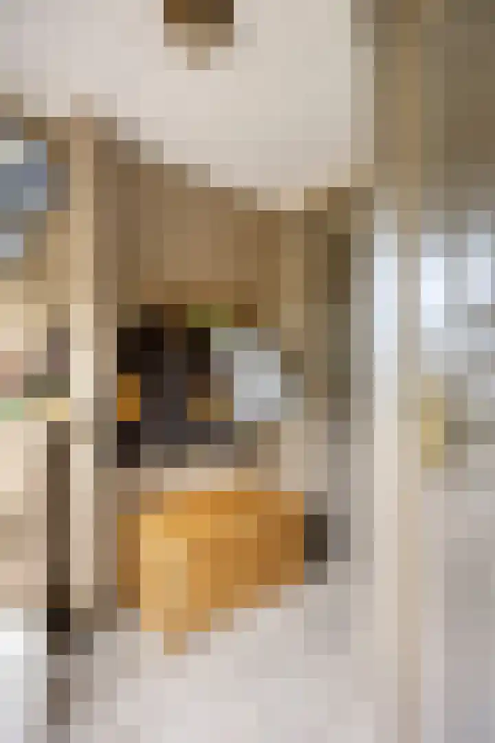 M. van Zantenstraat 9 Nieuwer Ter Aa thumbnail 34