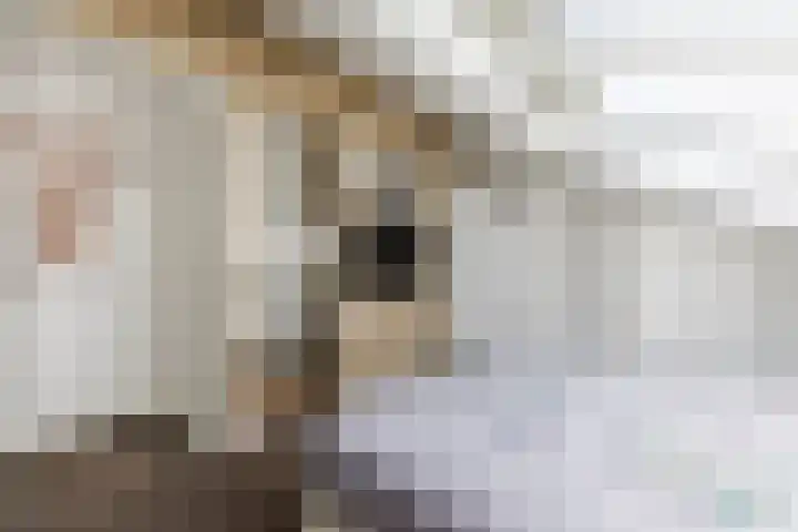 M. van Zantenstraat 9 Nieuwer Ter Aa thumbnail 34